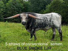 BLUE SMOKE LJR